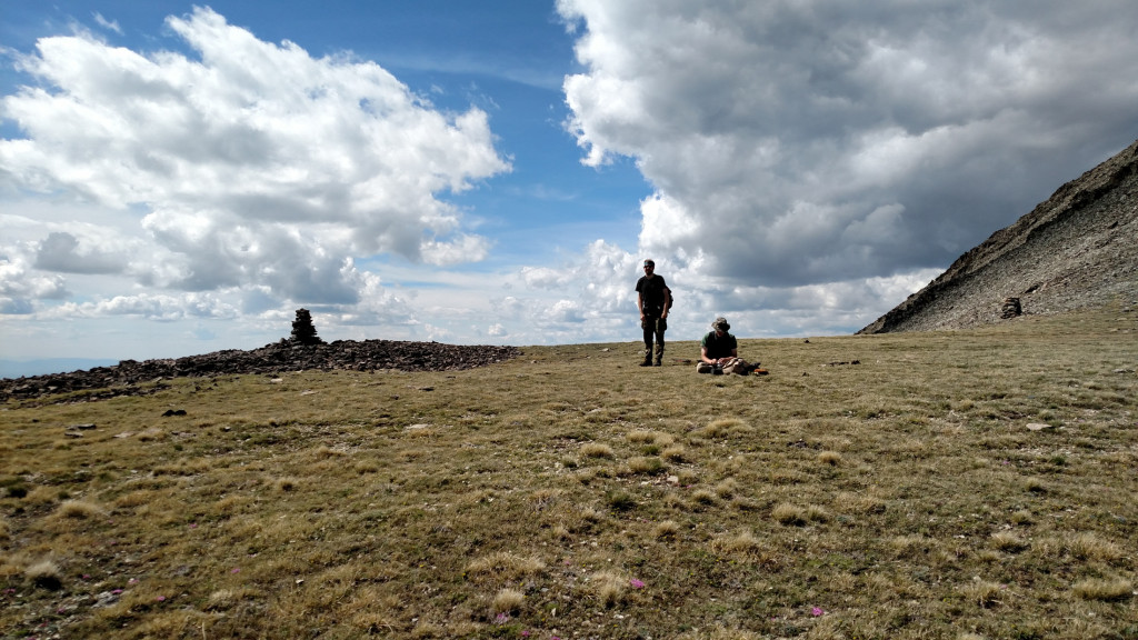 The top of the saddle.