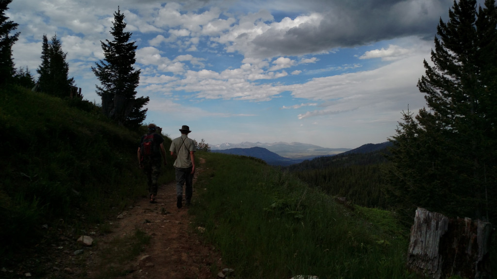 Enjoying a casual walk through the woods. Crazy Mountains in the background.