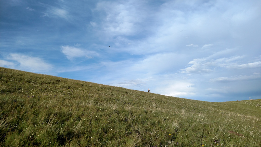 Christian harassing a crow.