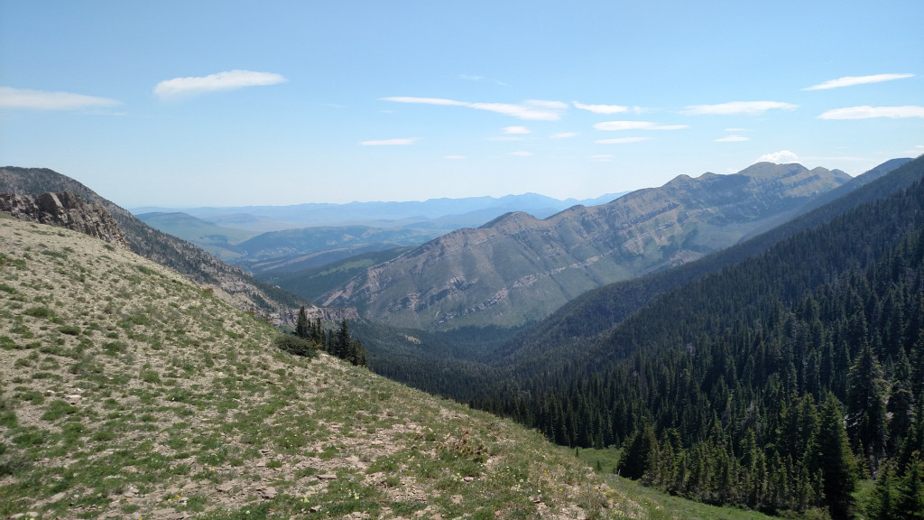 Looking east towards East Baldy Basin from the saddle.