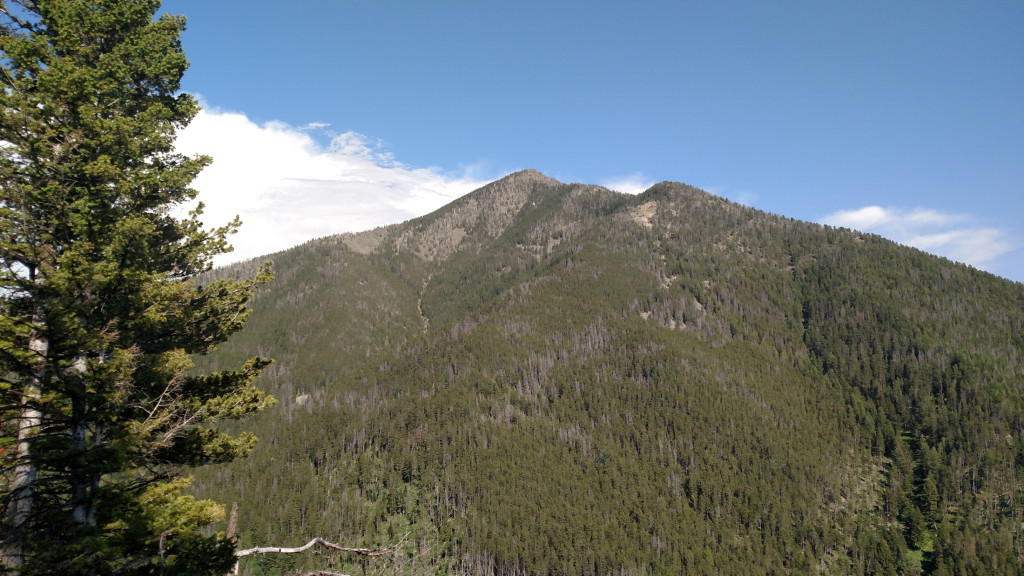 One of the first views of Livingston Peak from the trail.