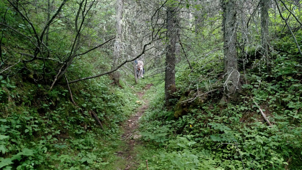 The trail leading into the gulch.