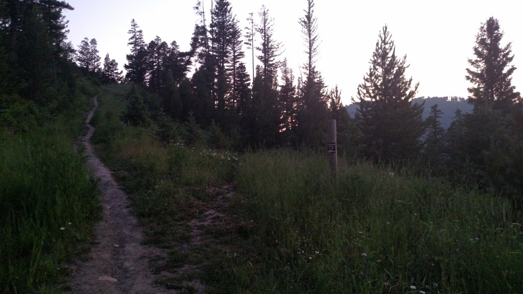 The spur trail leading off to the right. It’s extremely poorly labeled.