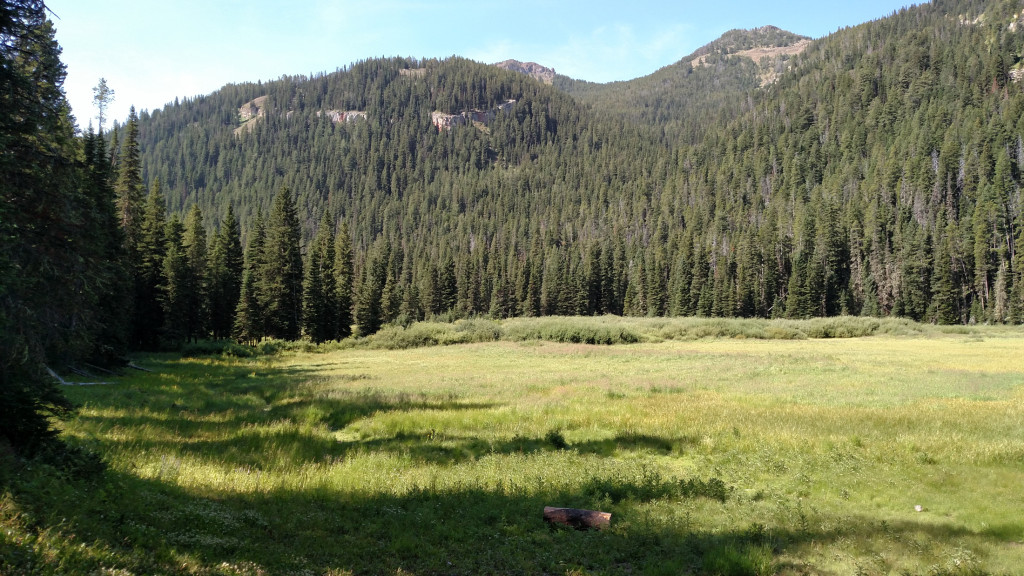 Looking south from Blackmore Lake. That is definitely NOT Mount Blackmore in the distance.