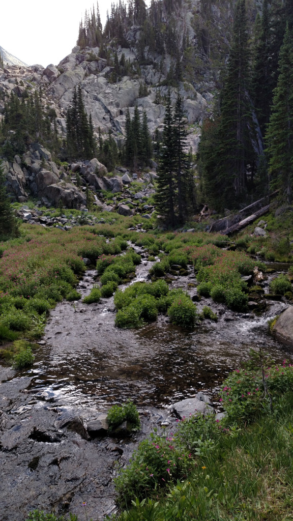 The creek we had to wade across leads up a third drainage to a lakeless cirque. We saw people coming down so it’s probably easy to get up.