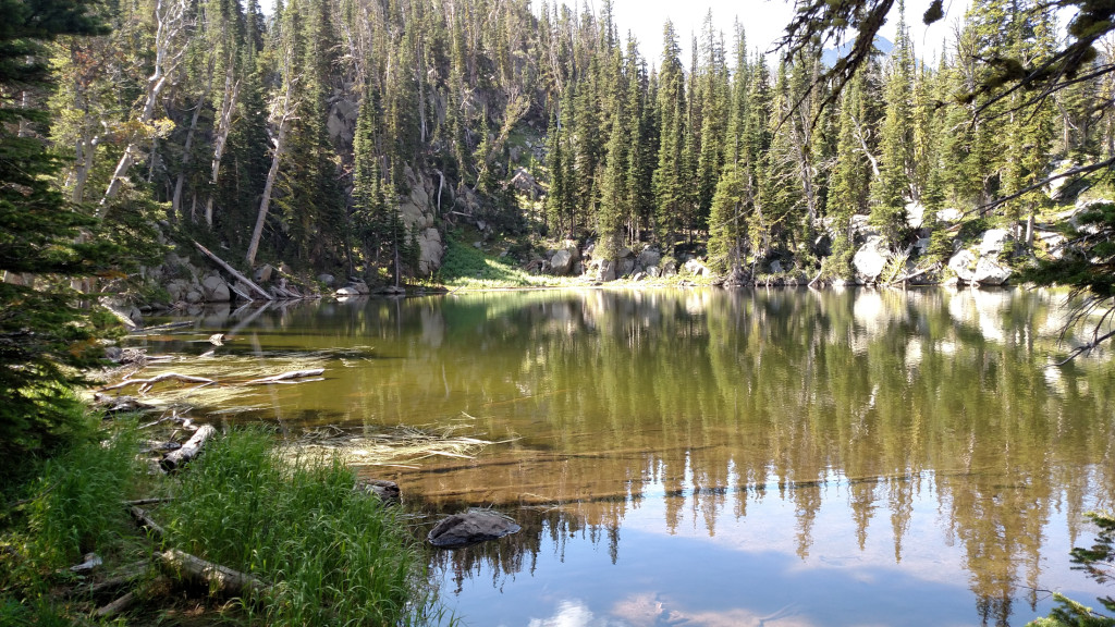 One of the small, unnamed lakes.