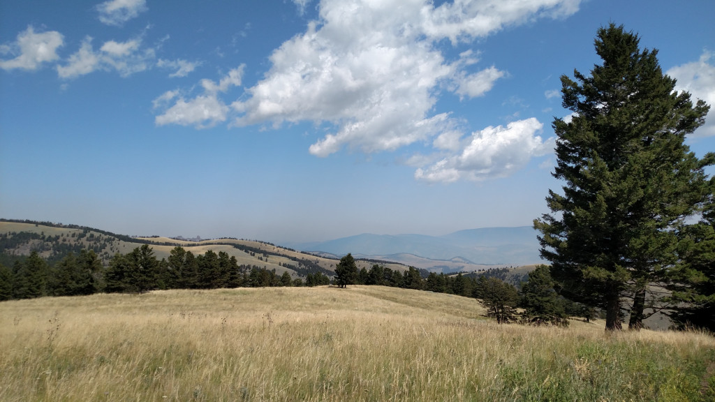 Looking north towards West Pine. First signs of smoke.