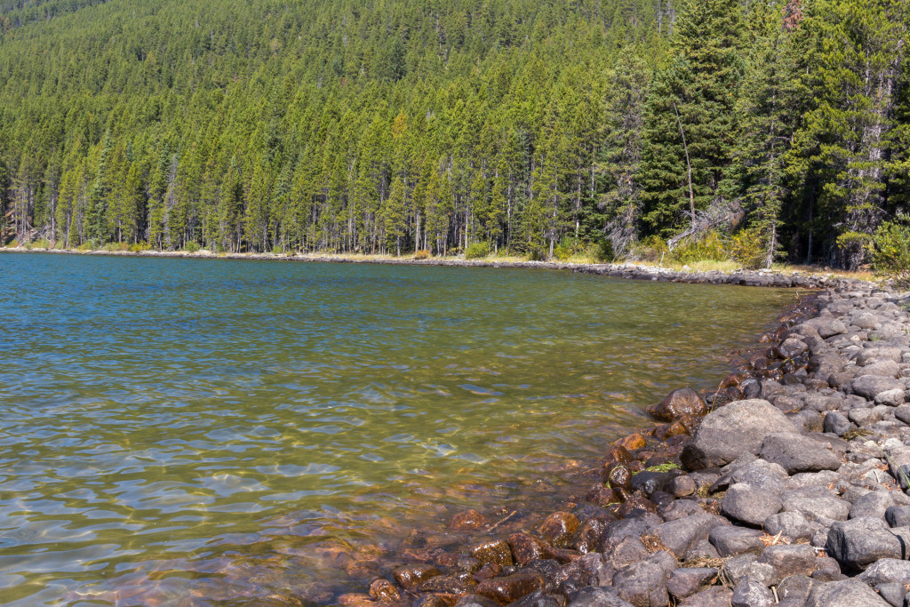 The rocky shoreline of Island Lake.