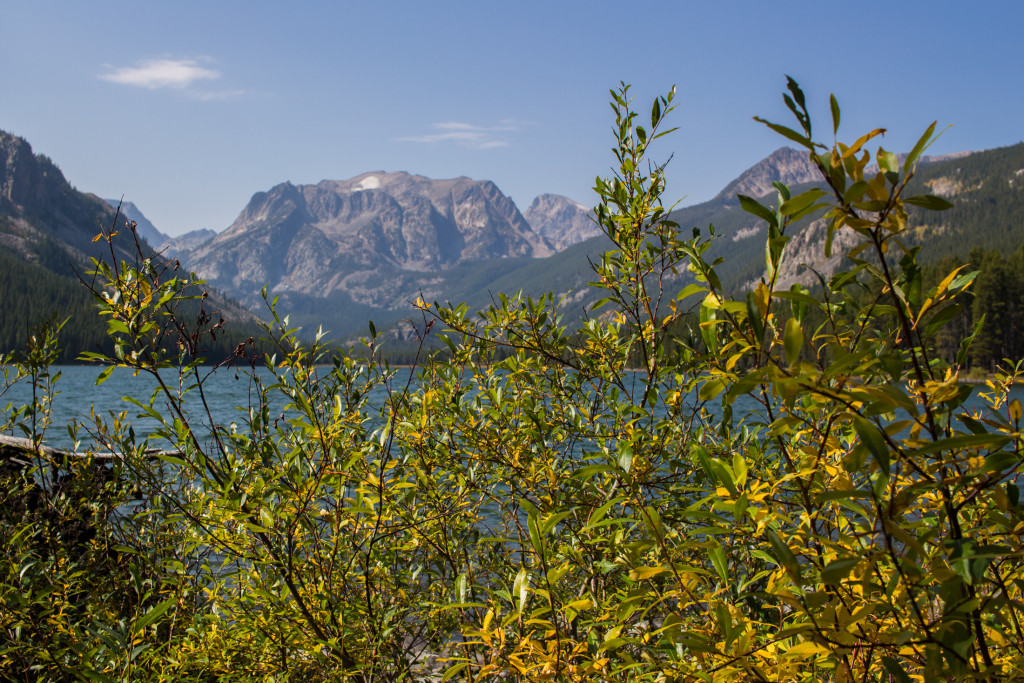 Island Lake.