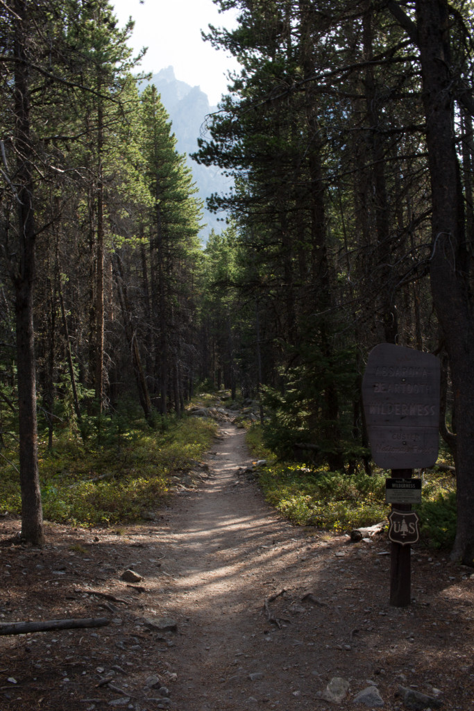 Entering the Absaroka-Beartooth Wilderness.