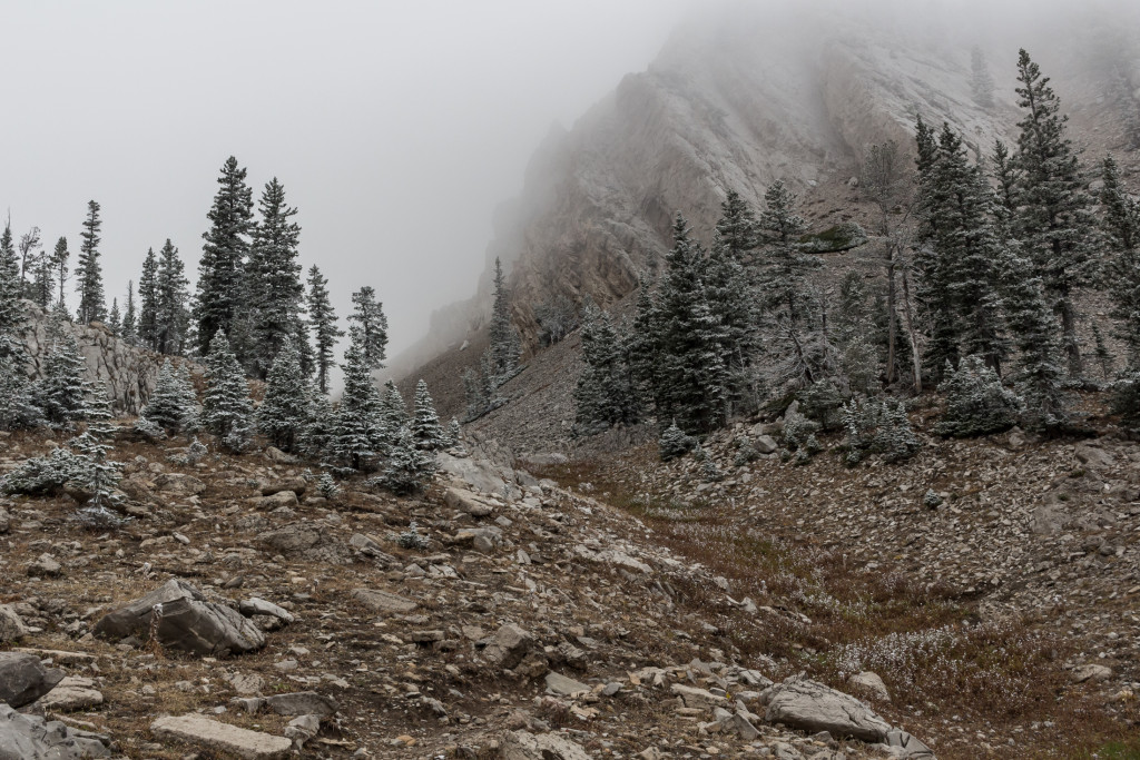 One of my favorite pictures. Looking back up the drainage.