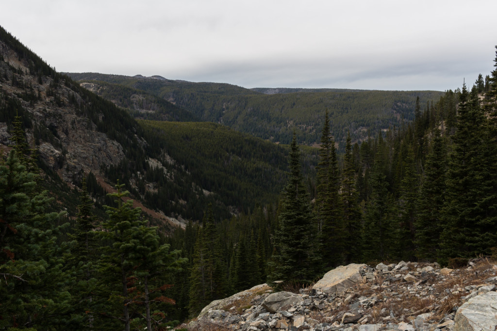 View from the overlook.