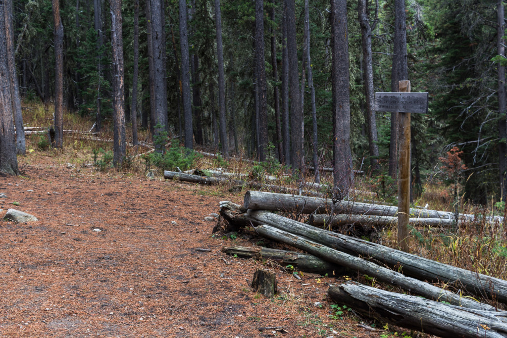 Intersection with Trail 417.