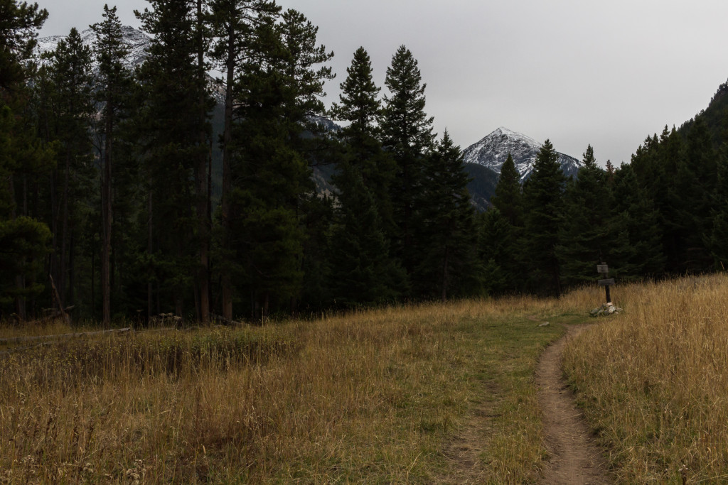 Intersection with the Jerome Rock Lakes trail. The campsite is hidden in the woods to the left.