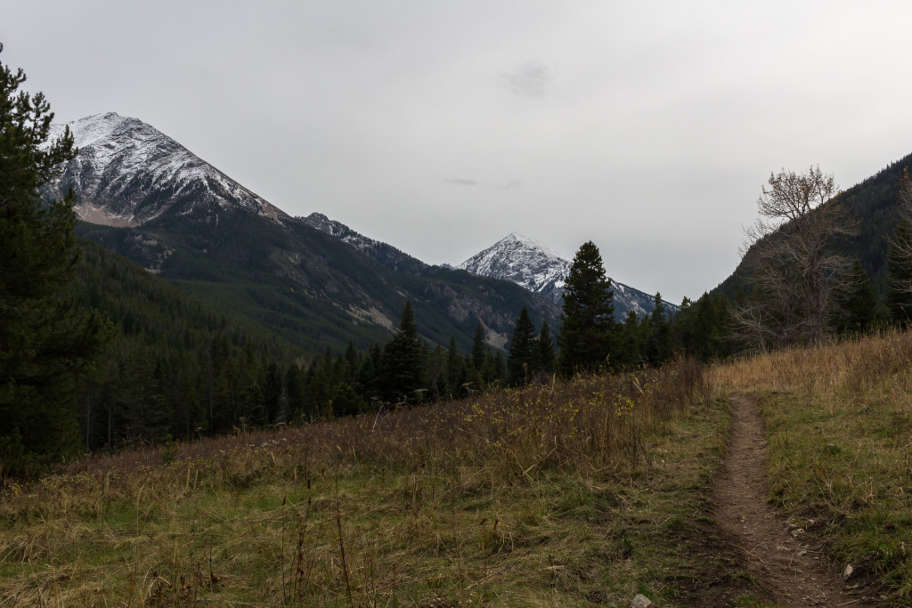 One of the few openings in the woods. Blaze Mountain on the right.