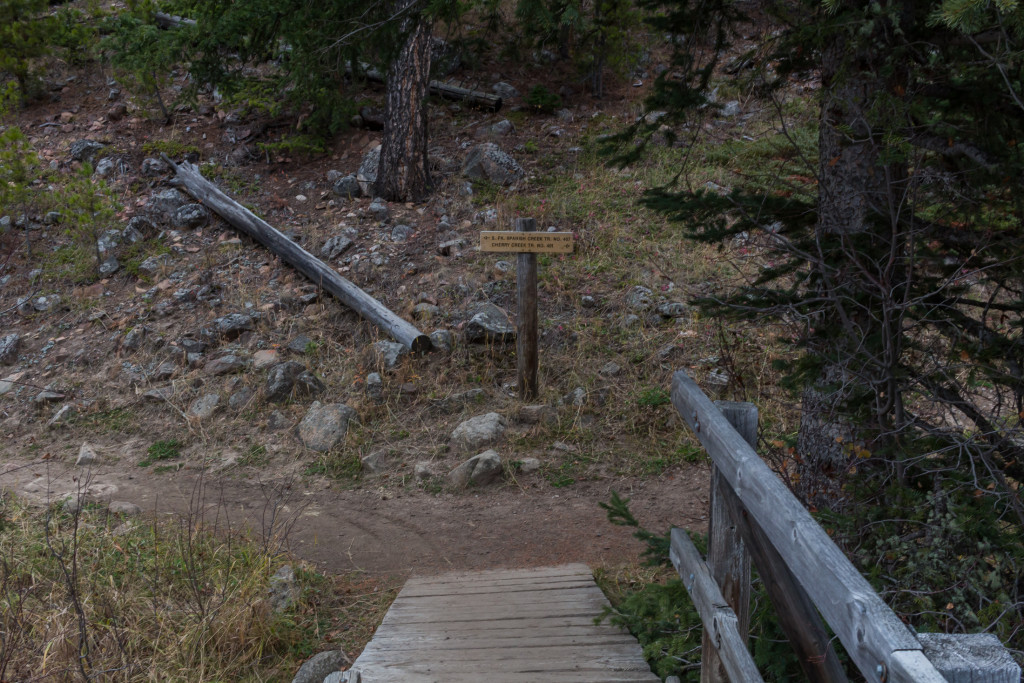 Intersection with the Cherry Creek Trail.