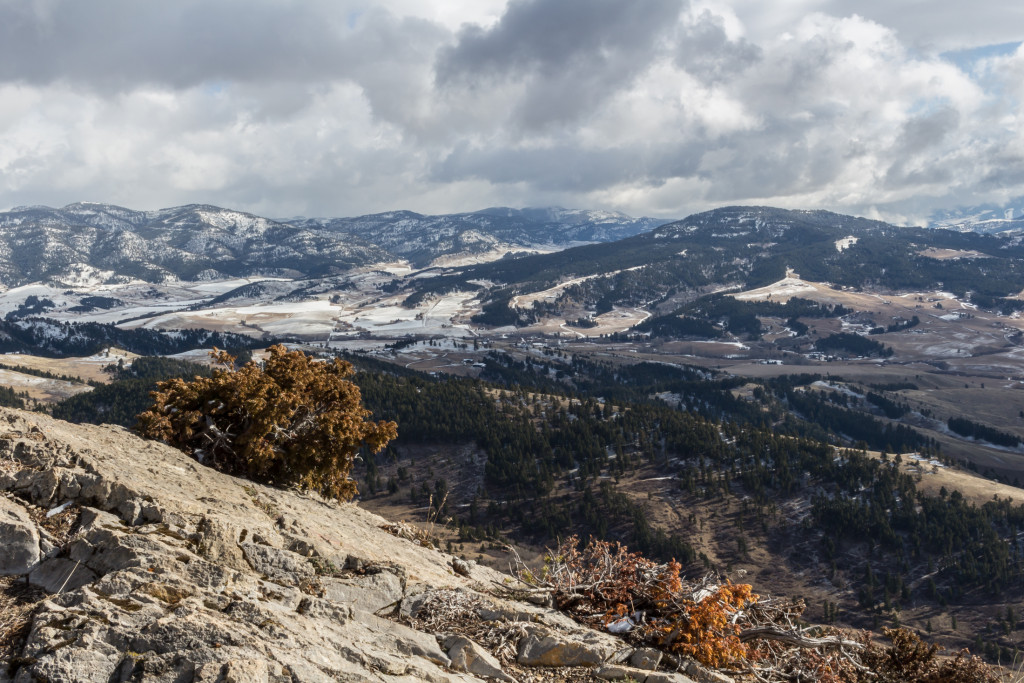 Looking east towards the Bangtails from the ridge.