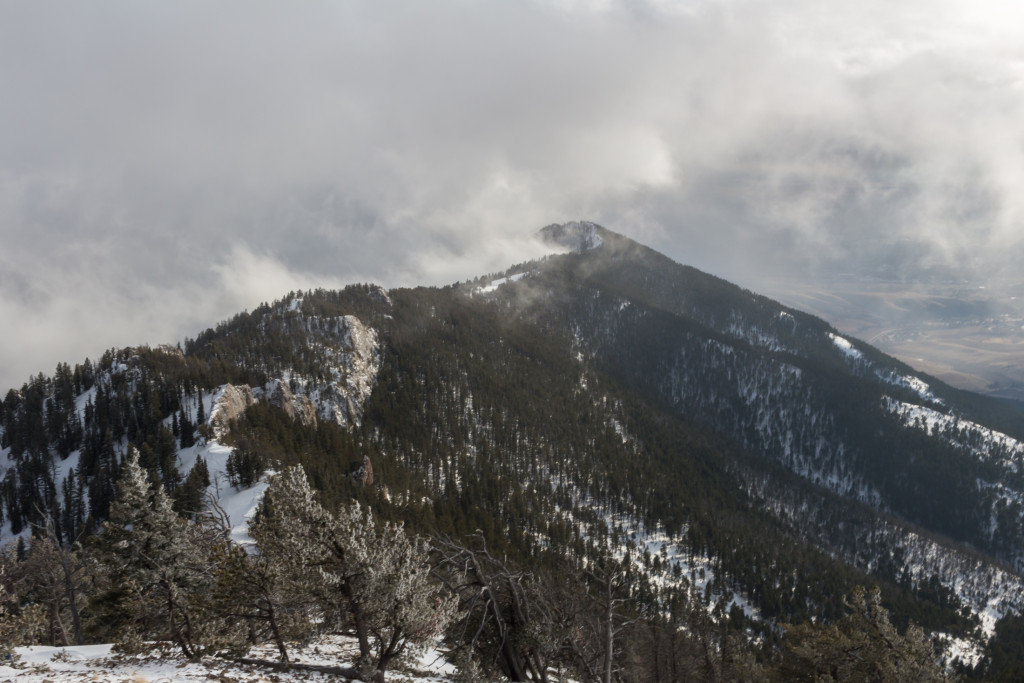 Looking south along the ridge towards the Knob (center right).