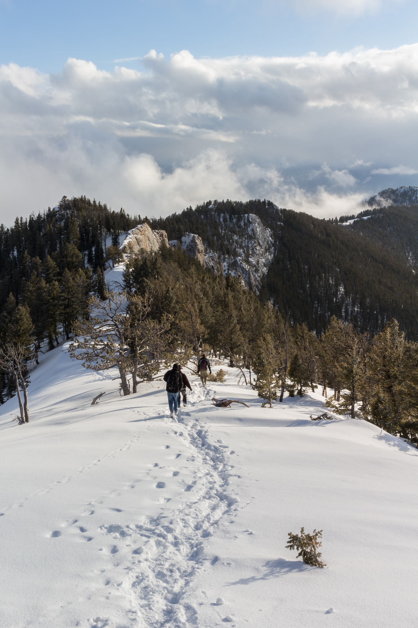 Baldy Mountain Nature's Course Inspire . Prepare . Preserve
