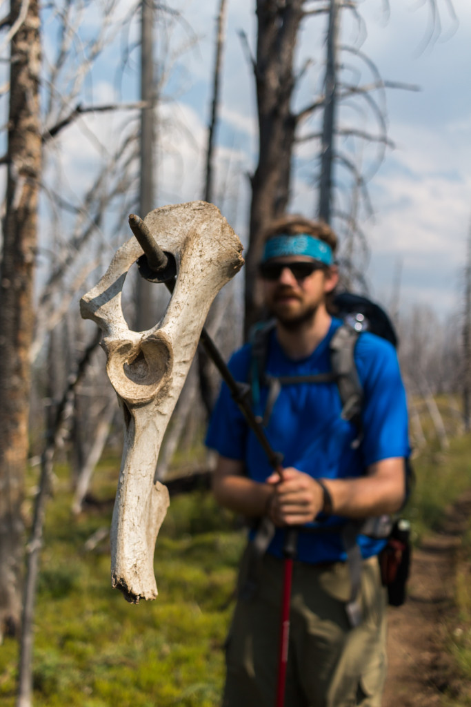 Found a bone at one point.