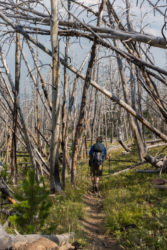 Walking through the desolation.