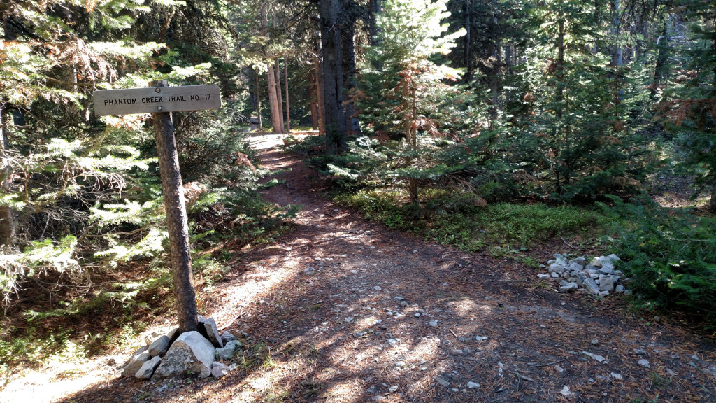 Intersection with Phantom Creek Trail No. 17.