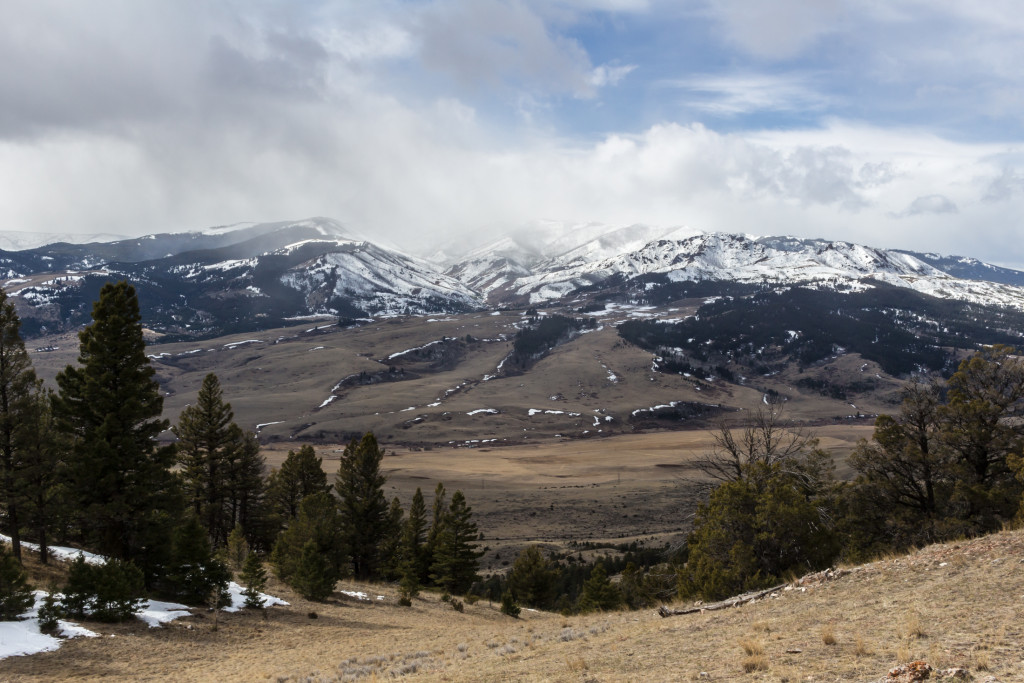 West Pine after the storm passed. Chimney Rock to the right (barely visible).