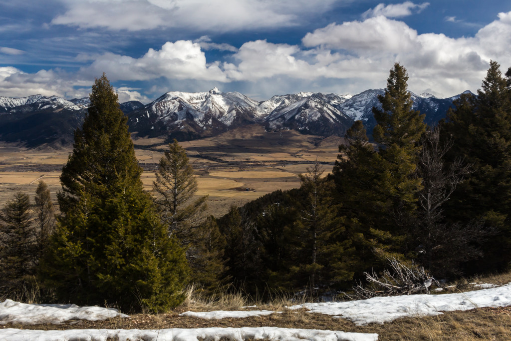 A classic Montana vista.
