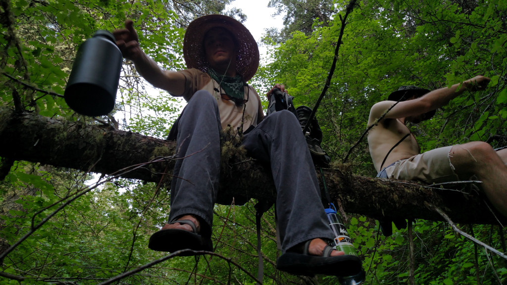 Chilling on a log in the gulch.