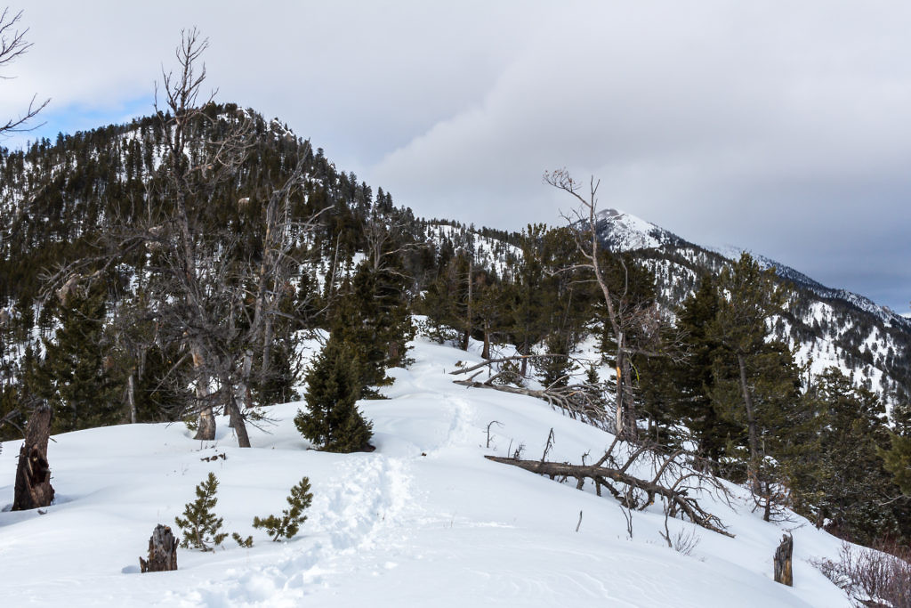 View from the second perch. The Knob on the left and Baldy on the right. Photo taken January 2016.