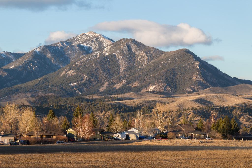 Baldy Mountain.