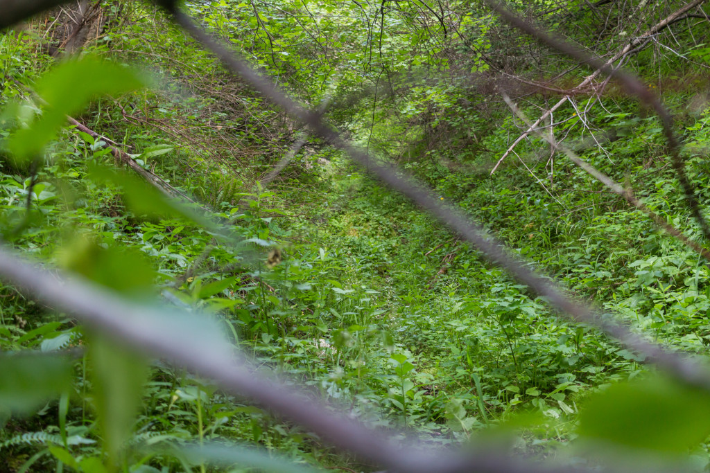 Looking deeper into the gulch.