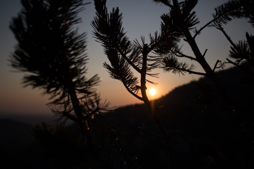 Artsy shot of the sunset.