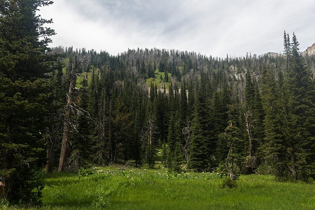 The slopes leading to Oasis Lakes.