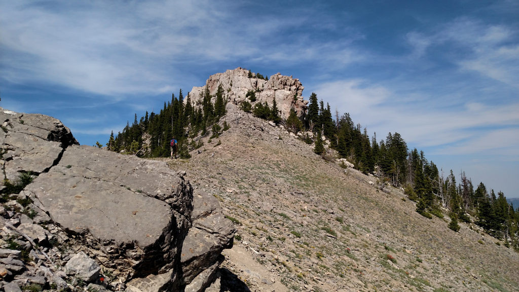 The actual summit of Baldy Mountain. Photo taken July 2015.