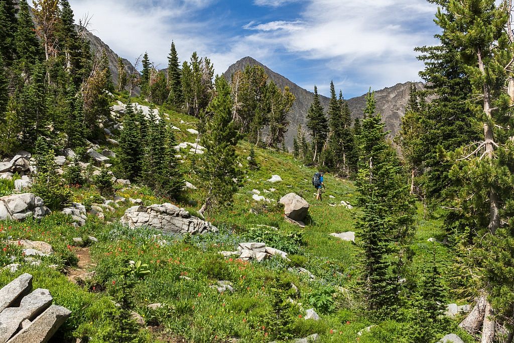 Finally back on the trail. A cool unnamed peak in the background. Call it “Unnamed Peak”?