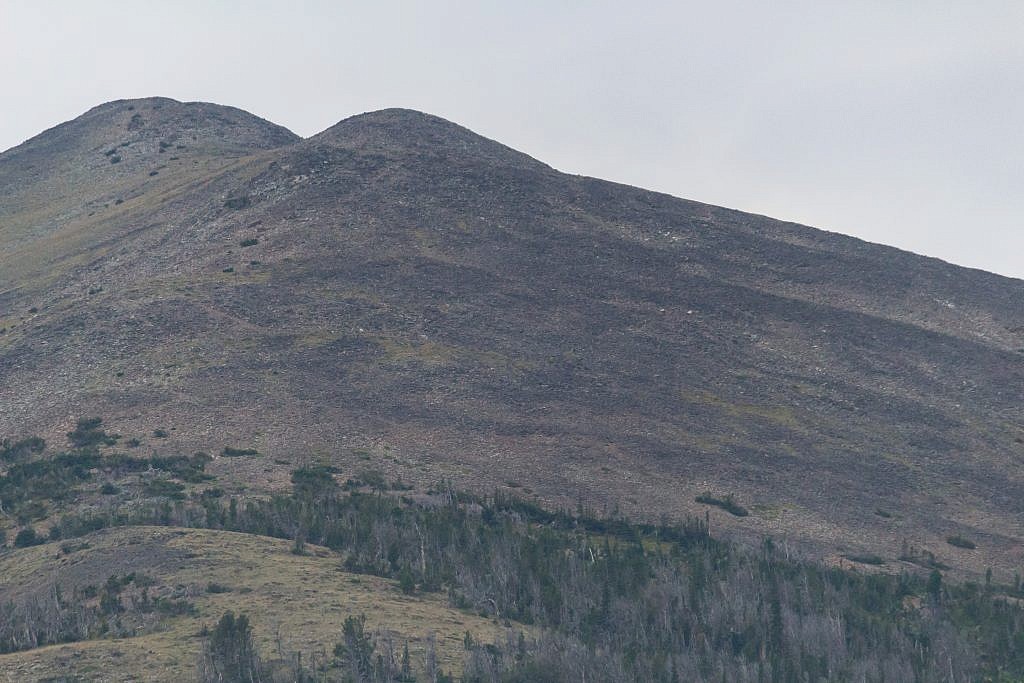 False alarm! There’s so many whitish rocks in the Crazies it was easy to mistake one for a goat.