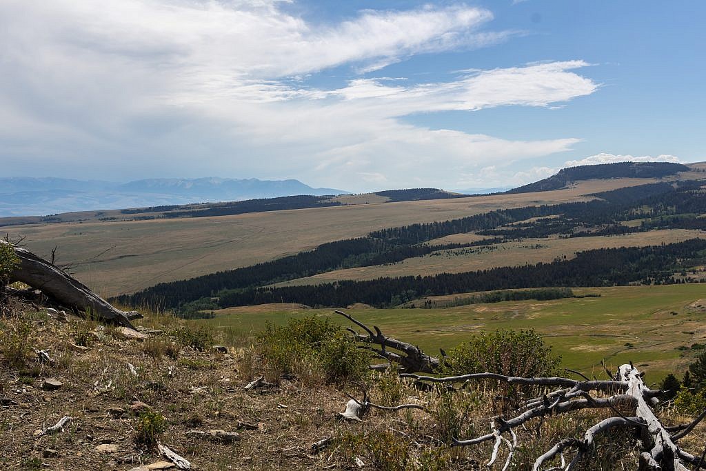 Looking south towards the Absarokas.