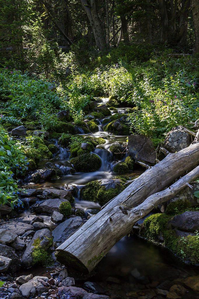 Another long exposure shot of the creek.