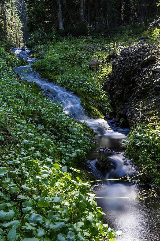 Long exposure shot of Blackmore Creek.