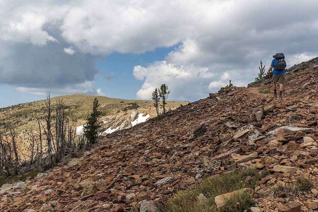 Working our way towards the saddle just above the treeline.