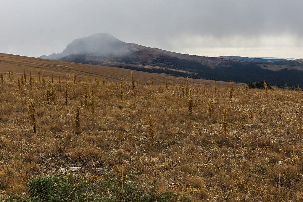 Looking south towards Black Butte from Gravelly Range Road.