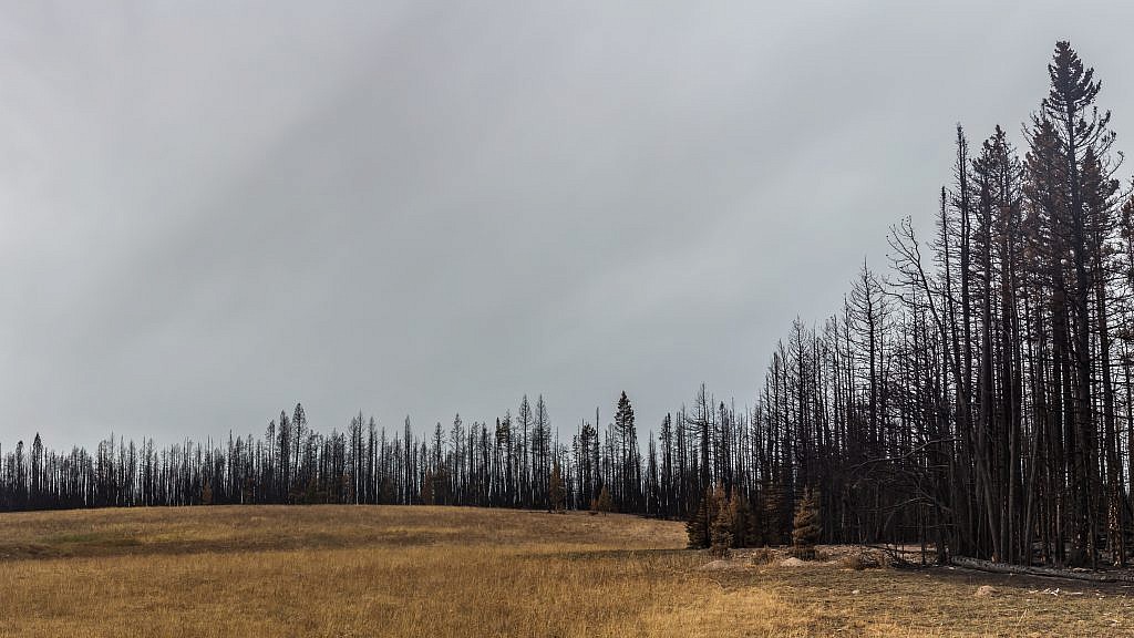 Remnants of the Wigwam fire.