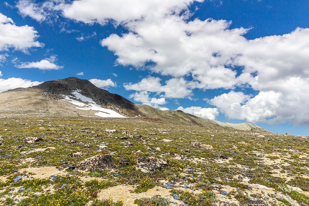 The meadows leading to the final ascent of Powell. Deer Lodge Mountain is just barely peaking above the meadow on the far right. Note that the distance between Powell and Deer Lodge is deceptively far so if you go for it be prepared.