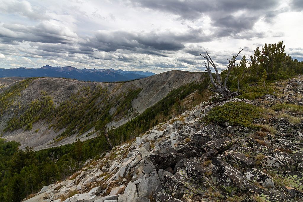 Stine Mountain (9,490′), the highpoint of the West Pioneers, can be accessed via northern terminus of the Pioneer National Scenic Trail.