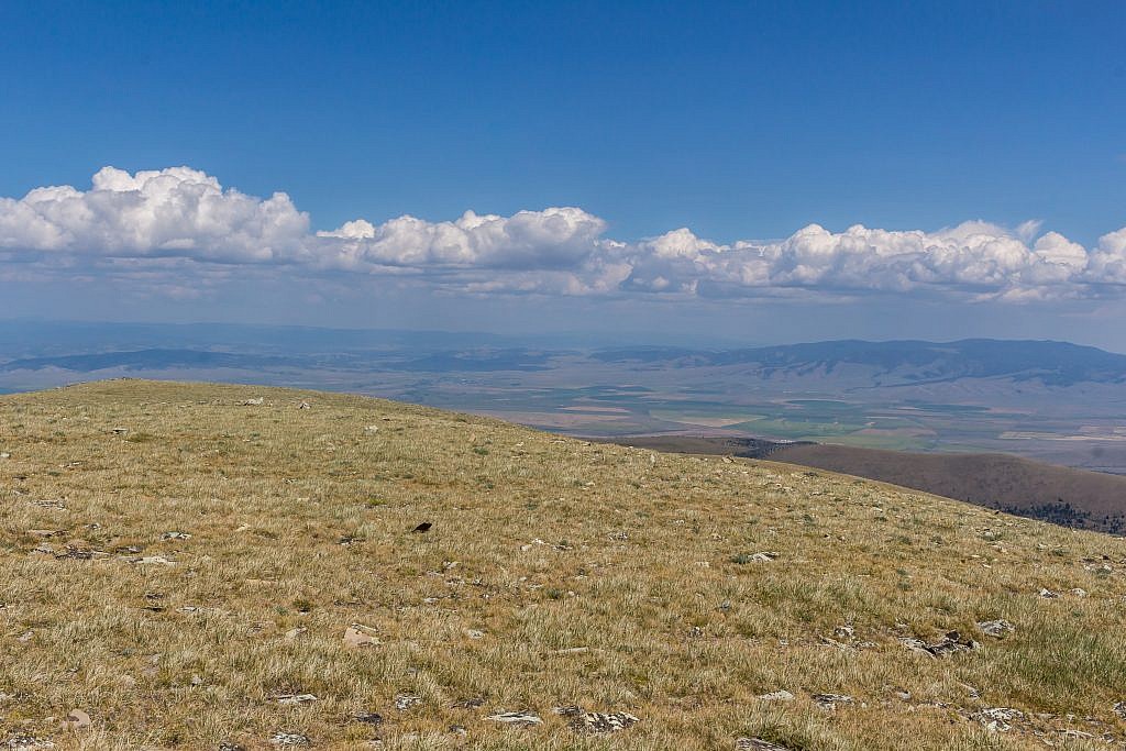 Looking east from the summit of Edith. Castle Mountains on the right and Little Belt Mountains on the left in the distance.