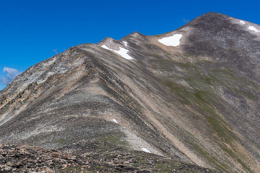 I chose to sidehill around the increasingly large humps near the top to the saddle just below Torrey’s summit.