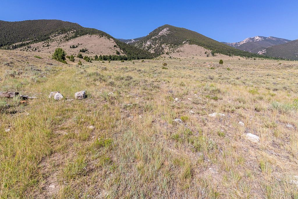 The faint ATV track leading to Porier Canyon (center left). Cedron Jones recommends a loop where you head up Laurin Canyon (right) instead, loop over Laurin Peak (right) and Ruby Peak (hidden) and descend through Porier Canyon back to the lot.