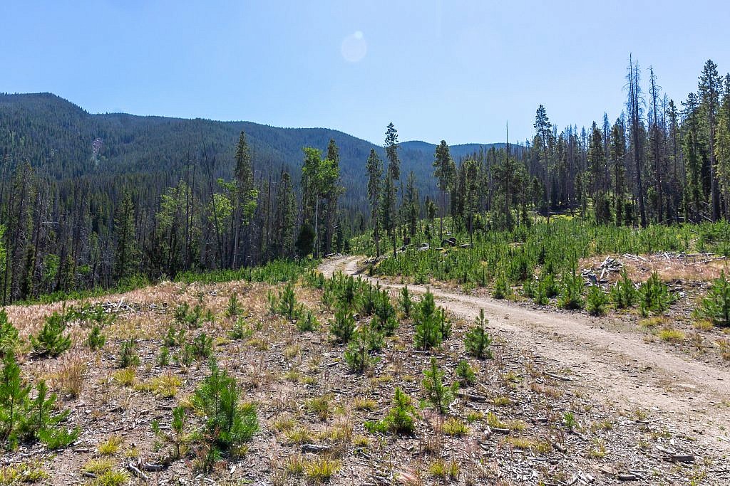 Our parking spot. From here we hiked another 1/2 mile or so to the official trailhead.