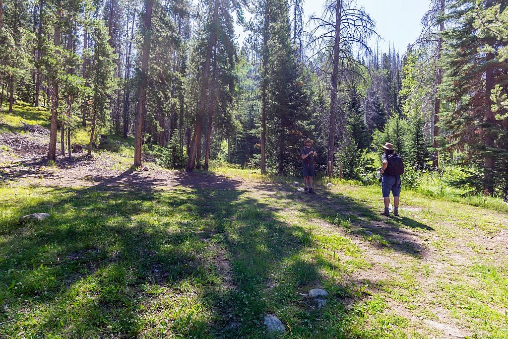 The official trailhead. I couldn’t believe how deserted the trail was being only a 20 min. drive from Butte. A trail like this would be overflowing if it were that close to Bozeman.